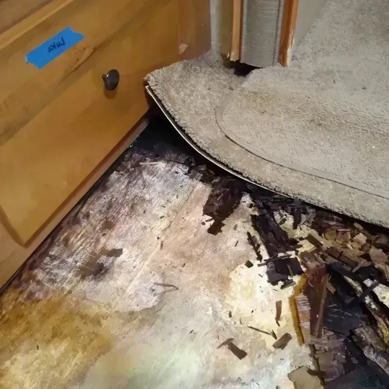 Wood Floor Water Damage in Fennville, MI